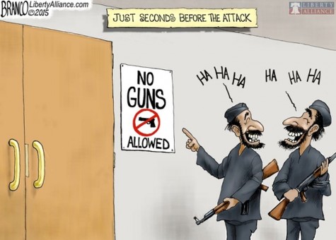This comic displays how people are more likely to attack gun free zones.
