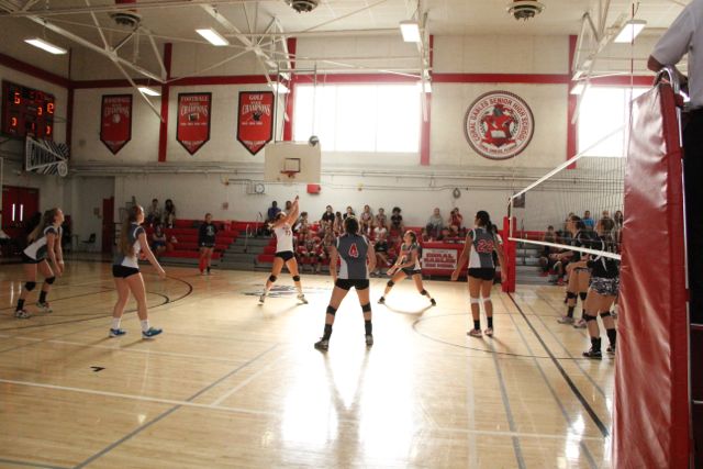Girls Varsity Volleyball Photos