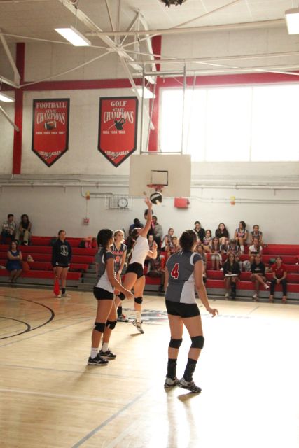Girls Varsity Volleyball Photos
