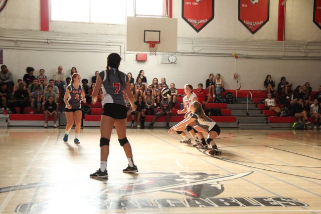 Girls Varsity Volleyball Photos