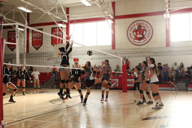 Girls Varsity Volleyball Photos