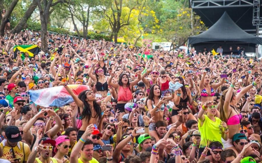 A thrilled crowd at Ultra Music Festival 2013.