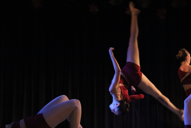 Fall Frolics 2014