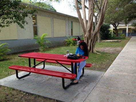 Being outdoors with fresh air allows for a more productive studying session, and the IB patio is surrounded with  plants which gives a great outdoorsy feel