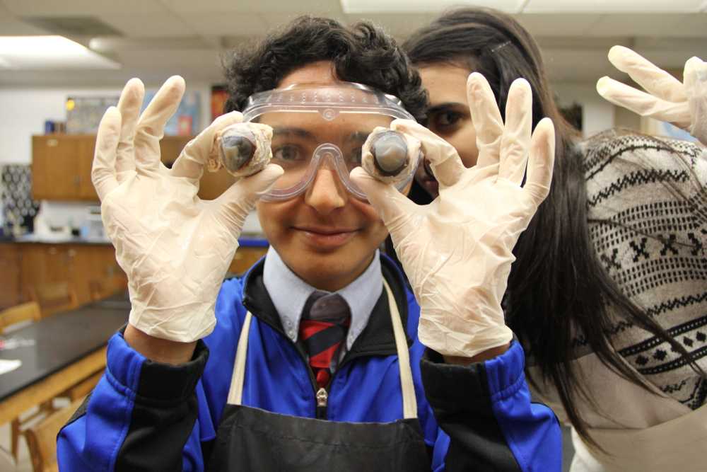 CGPA 8th Graders Dissect With Seniors (WARNING: Graphic Content)