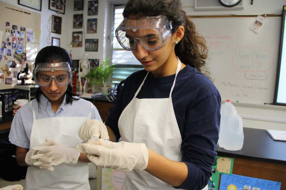CGPA 8th Graders Dissect With Seniors (WARNING: Graphic Content)