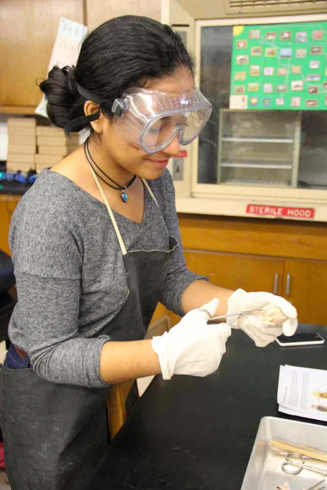 CGPA 8th Graders Dissect With Seniors (WARNING: Graphic Content)