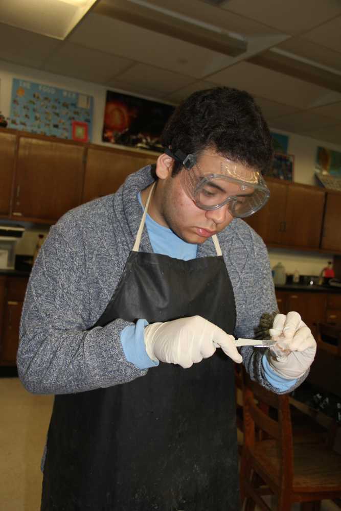 CGPA 8th Graders Dissect With Seniors (WARNING: Graphic Content)