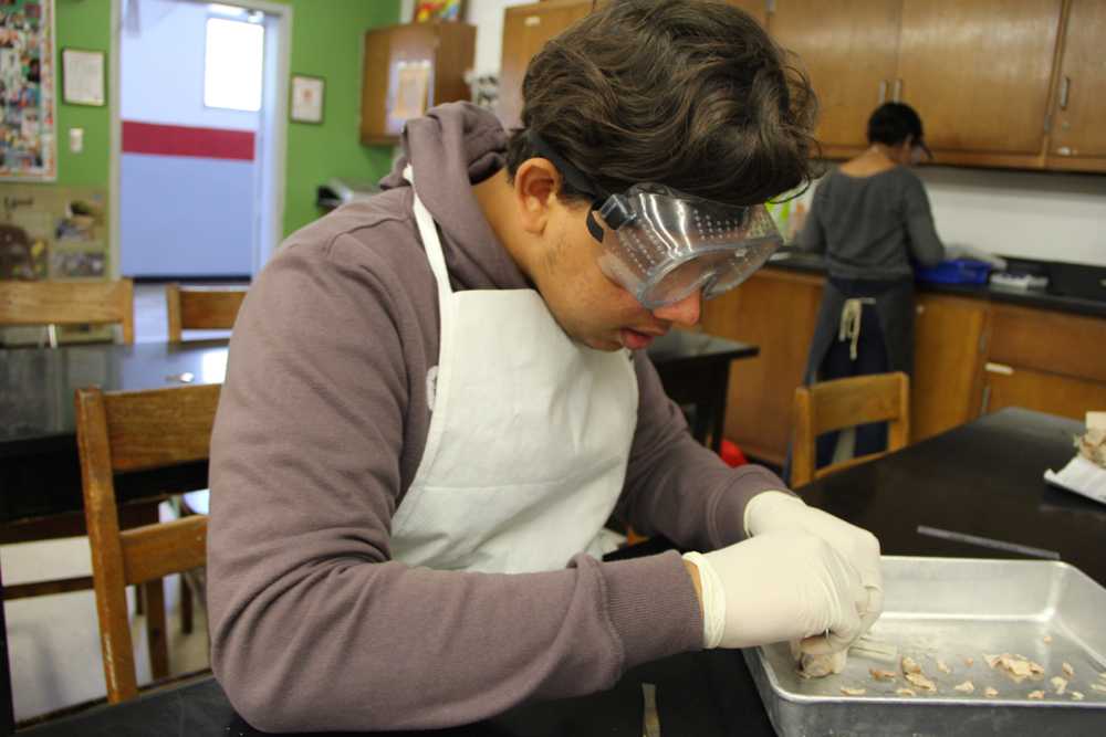 CGPA 8th Graders Dissect With Seniors (WARNING: Graphic Content)