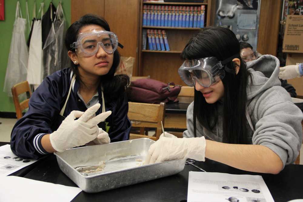 CGPA 8th Graders Dissect With Seniors (WARNING: Graphic Content)