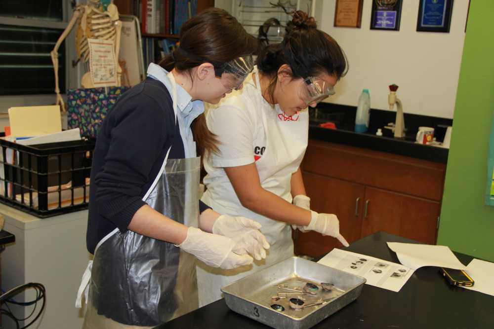 CGPA 8th Graders Dissect With Seniors (WARNING: Graphic Content)