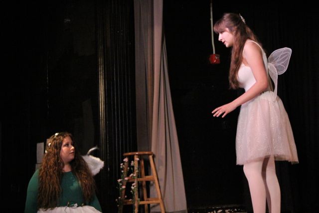 A Midsummer's Night Dream