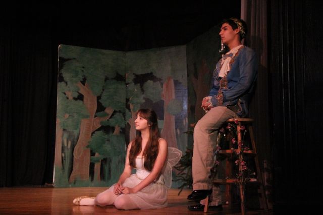 A Midsummer's Night Dream