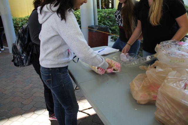 Junior Treat Day Photos !!!