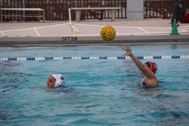 Cavalier Water Polo Take on the Makos