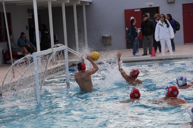 Cavalier Water Polo Take on the Makos