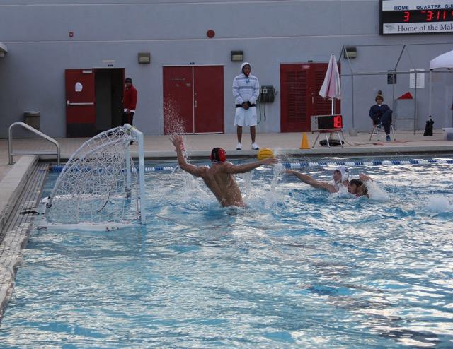 Cavalier Water Polo Take on the Makos