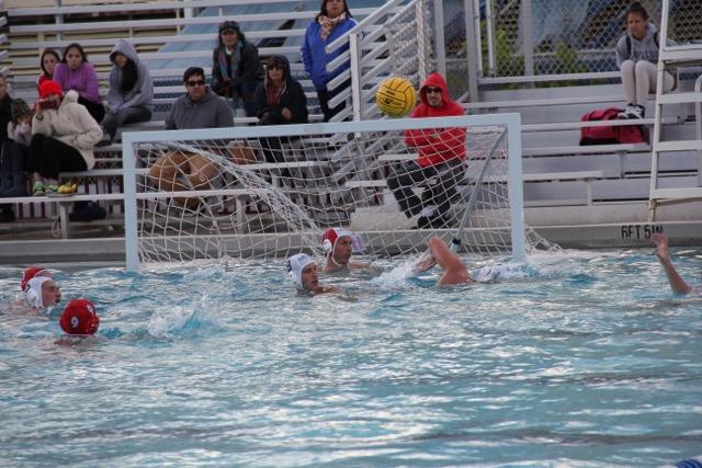 Cavalier Water Polo Take on the Makos