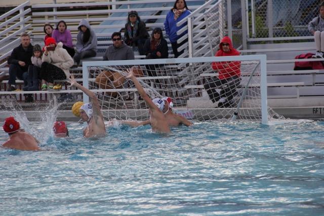 Cavalier Water Polo Take on the Makos