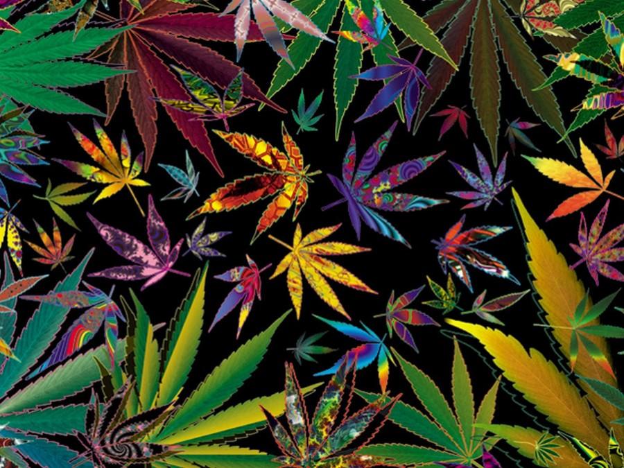 Marijuana is on its way to being decriminalized and possibly legalized in many states in the U.S.