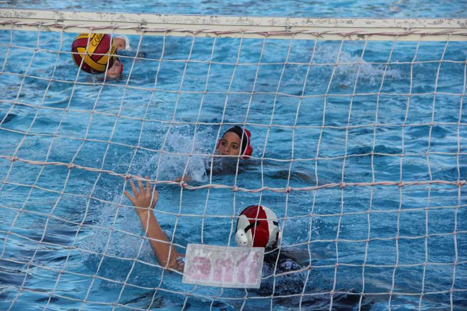 Water Polo: Gables Makes a Splash