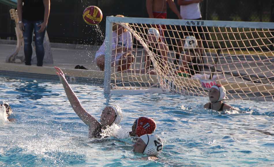 Water Polo: Gables Makes a Splash