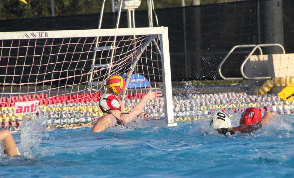 Water Polo: Gables Makes a Splash