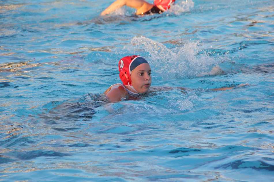 Water Polo: Gables Makes a Splash