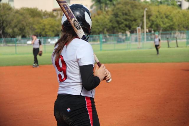 Softball Flies by Ferguson