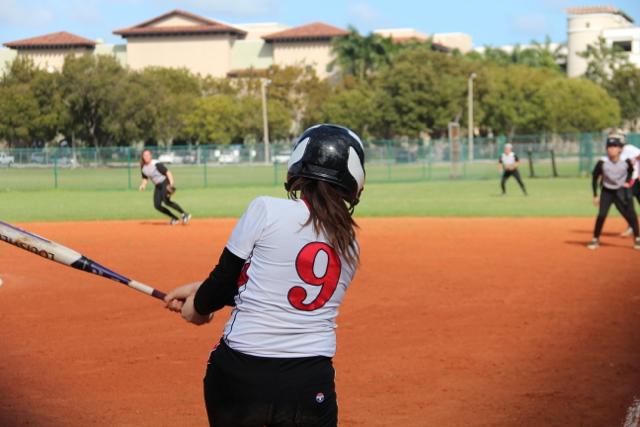 Softball Flies by Ferguson