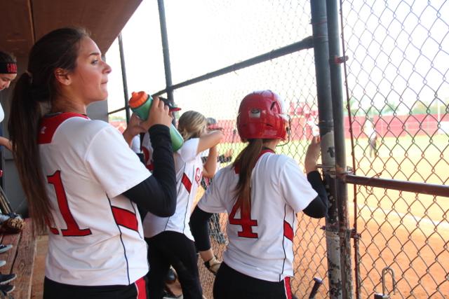 Softball Flies by Ferguson