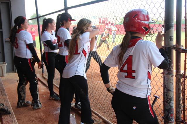 Softball Flies by Ferguson