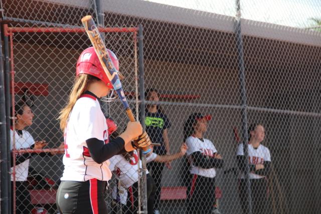 Softball Flies by Ferguson