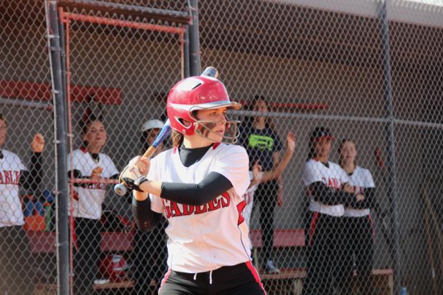 Softball Flies by Ferguson
