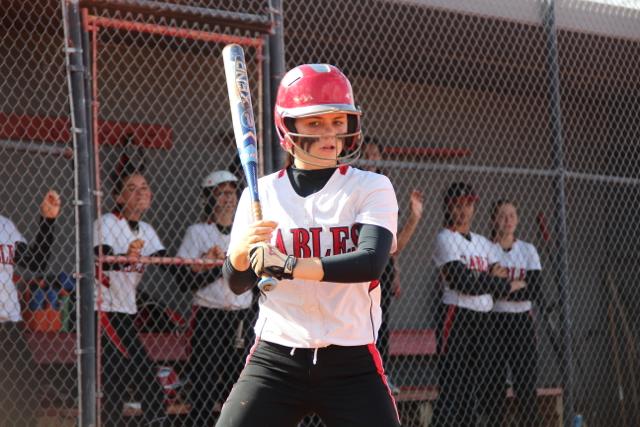 Softball Flies by Ferguson