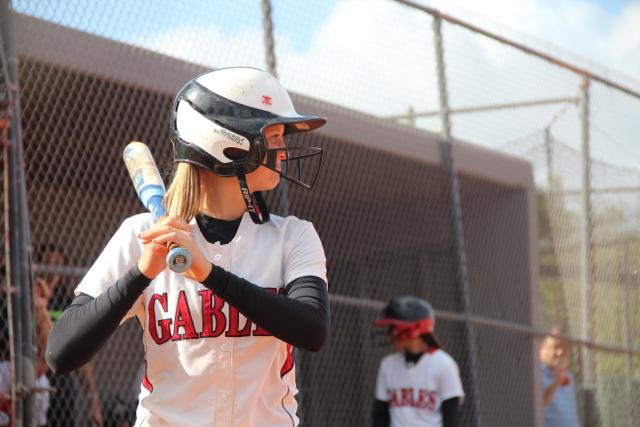 Softball Flies by Ferguson