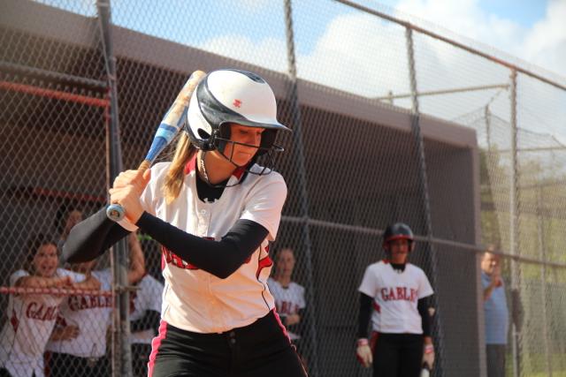Softball Flies by Ferguson