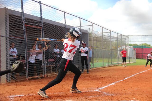 Softball Flies by Ferguson