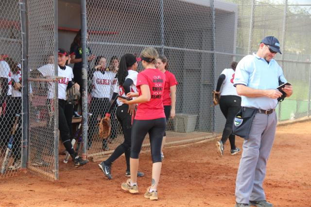 Softball Flies by Ferguson