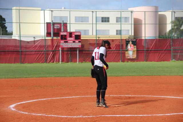Softball Flies by Ferguson
