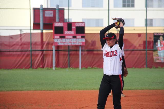 Softball Flies by Ferguson
