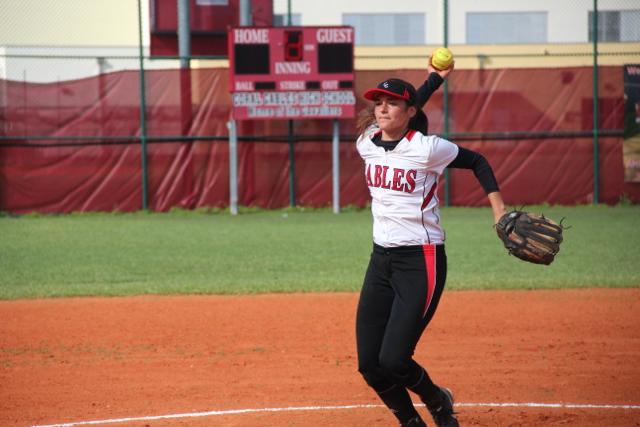 Softball Flies by Ferguson
