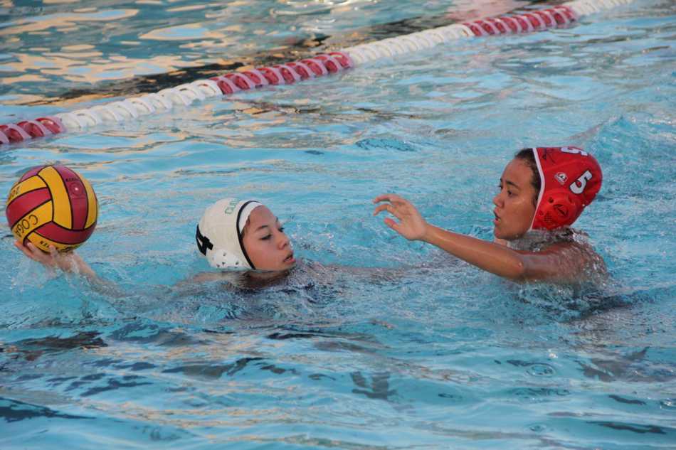 Water Polo: Gables Makes a Splash