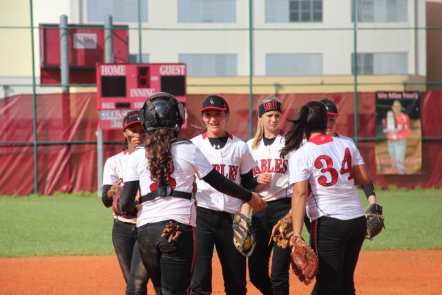 Softball Flies by Ferguson
