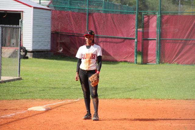 Softball Flies by Ferguson