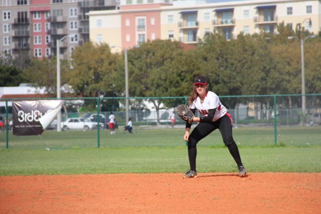 Softball Flies by Ferguson