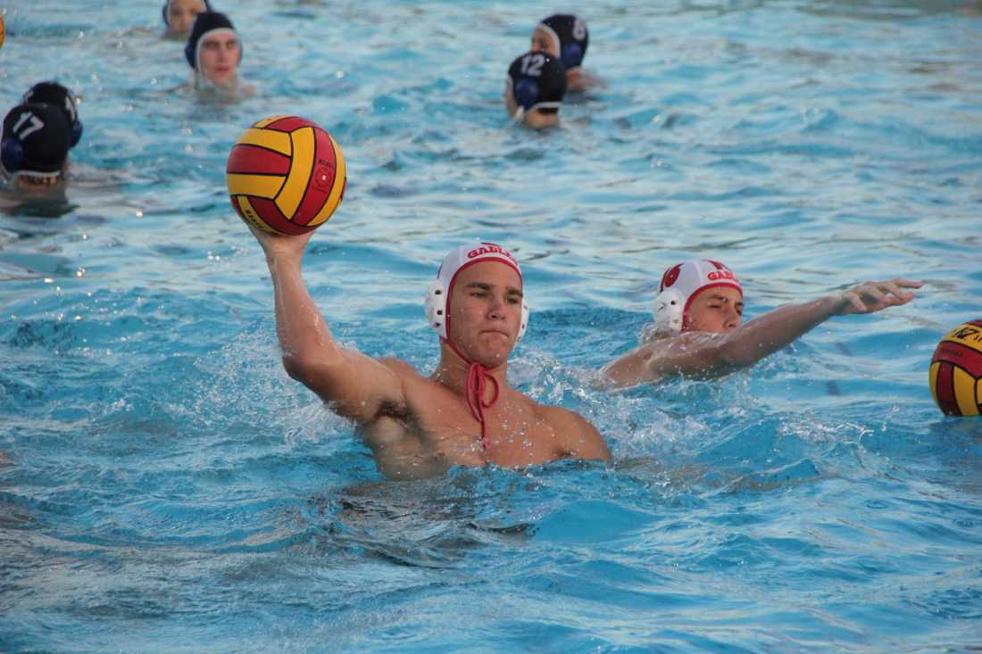 Water Polo: Gables Makes a Splash