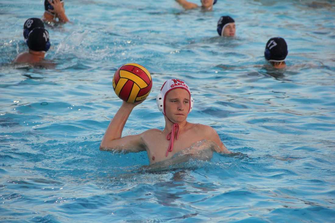 Water Polo: Gables Makes a Splash
