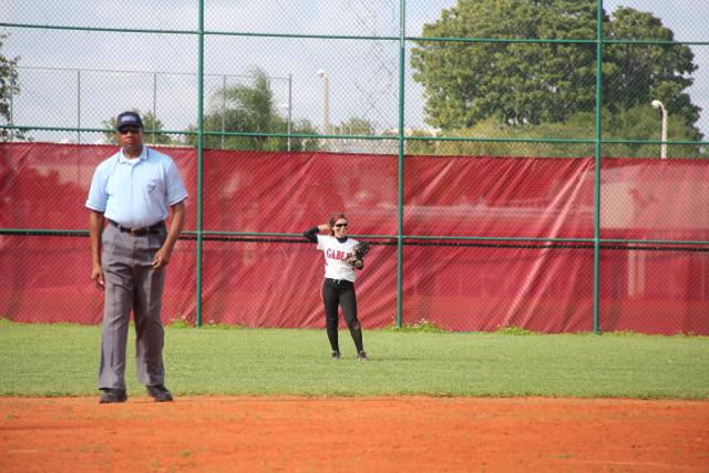 Softball Flies by Ferguson