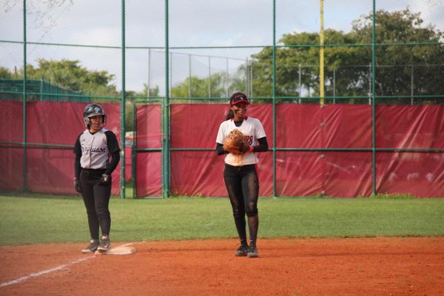 Softball Flies by Ferguson